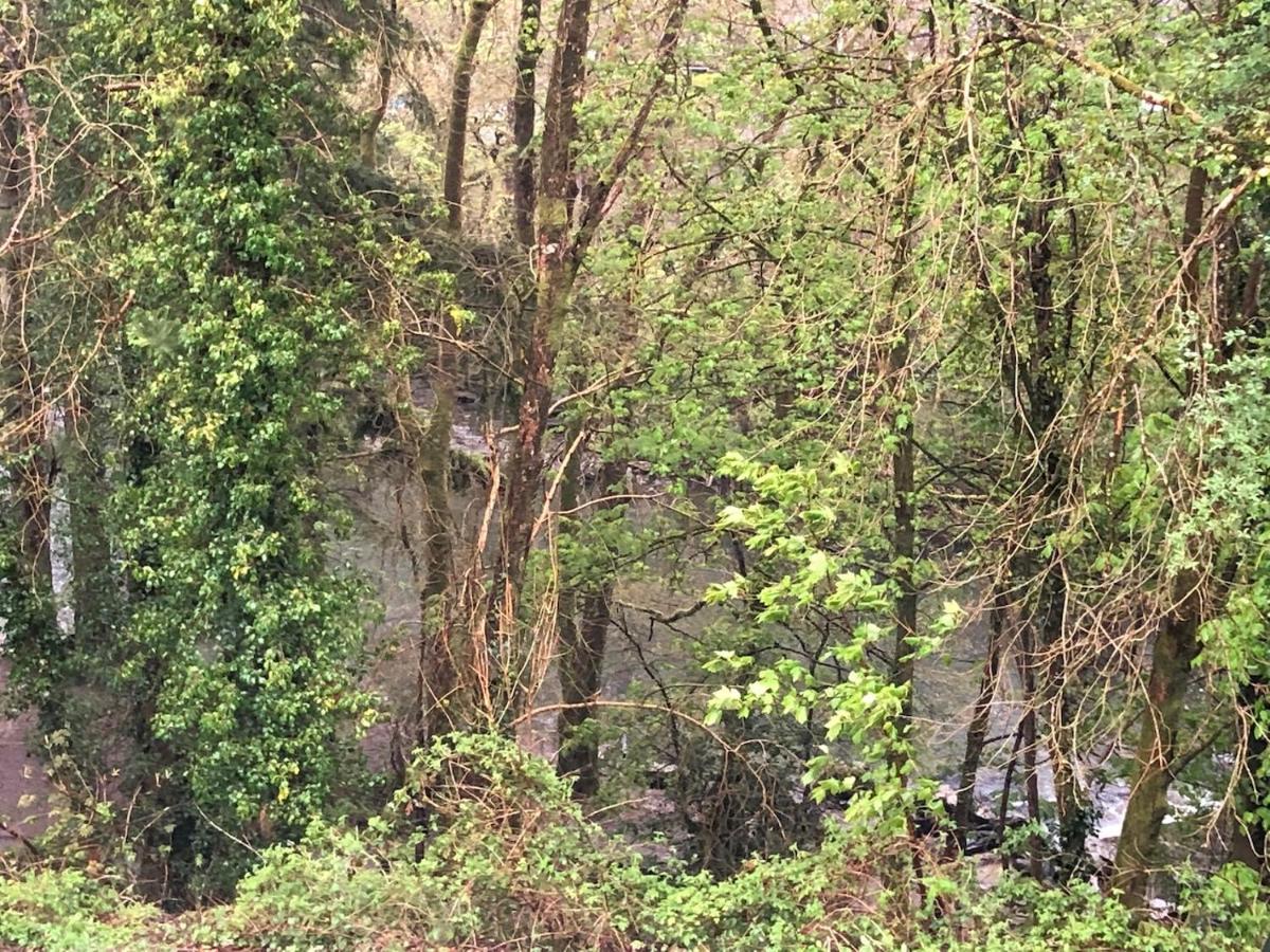 Summerhill Guest House Betws-y-Coed Ngoại thất bức ảnh